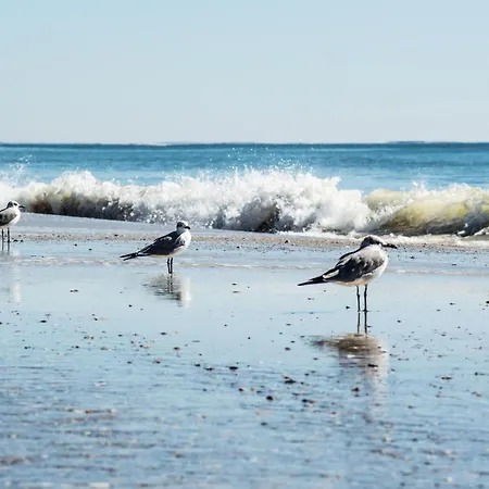 Direct Gulf Views With Deeded Beach Access